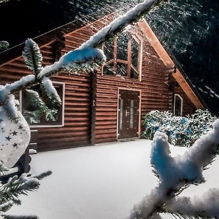 Галерея Карпат Plave エクステリア 写真