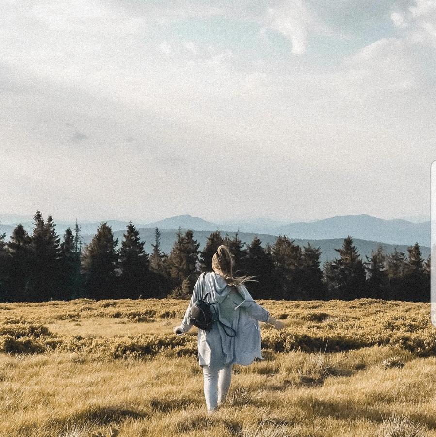 Галерея Карпат Plave エクステリア 写真